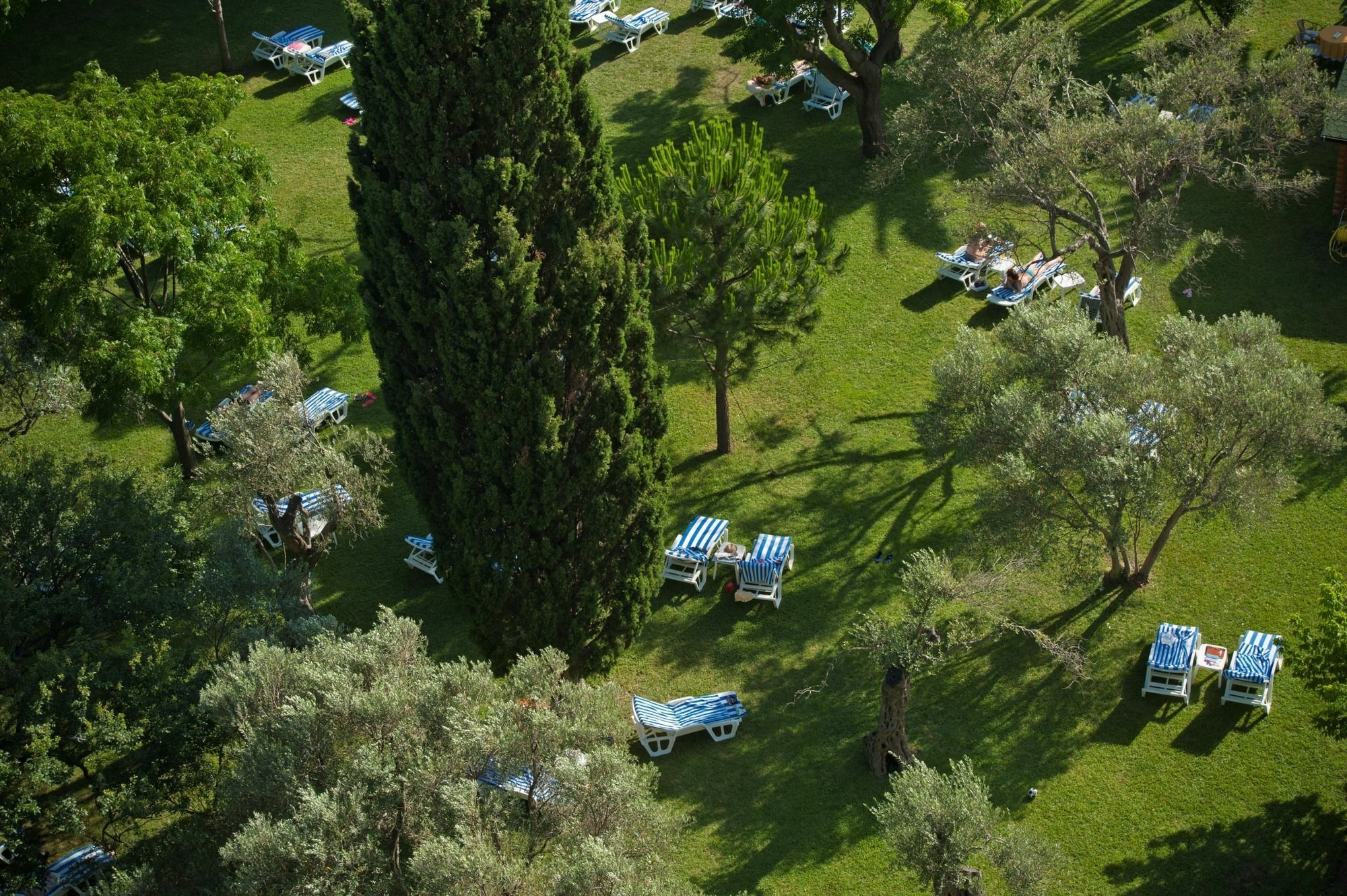 Hotel Rivijera Petrovac Екстериор снимка