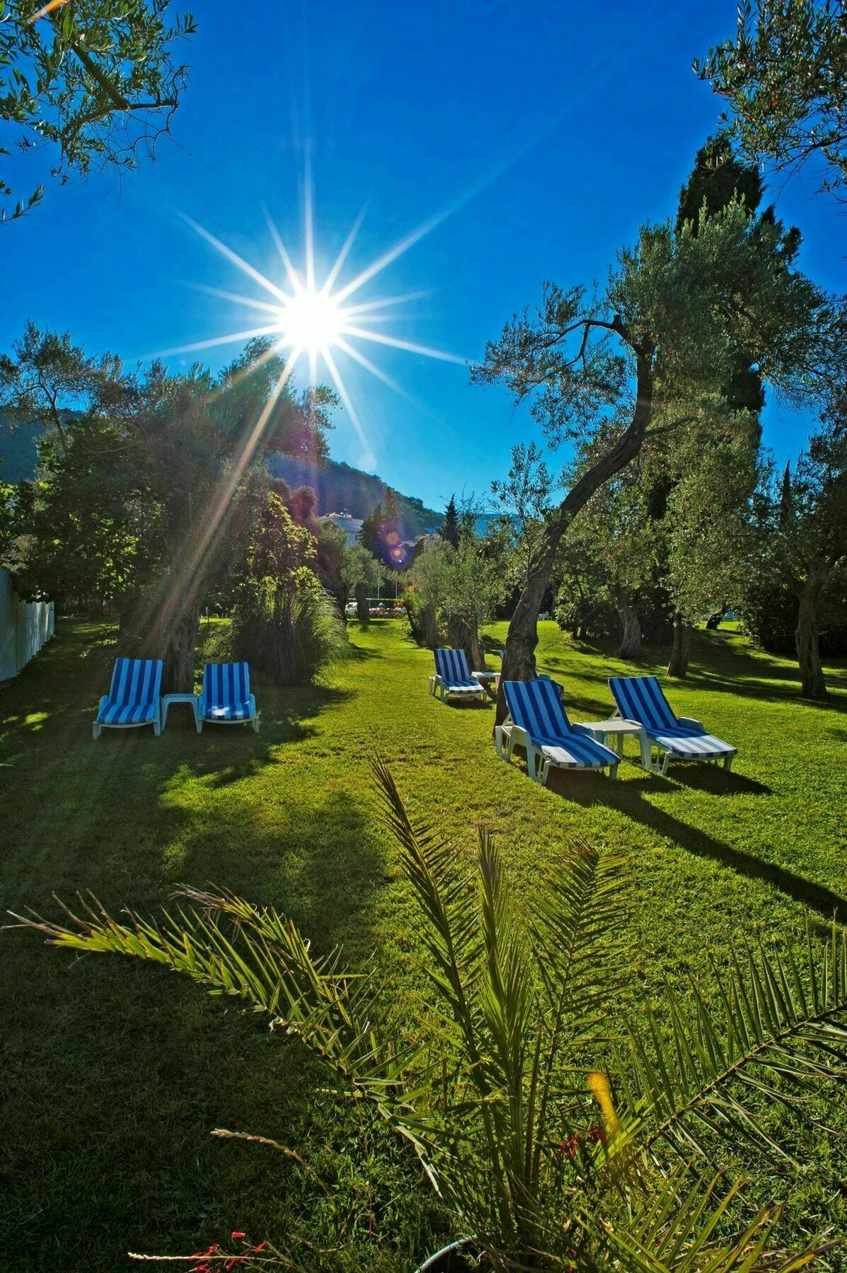 Hotel Rivijera Petrovac Екстериор снимка